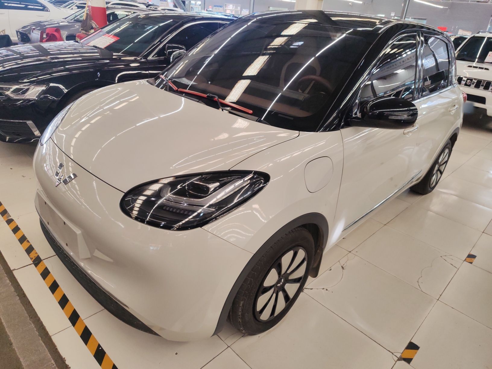 Parte inferior delantera