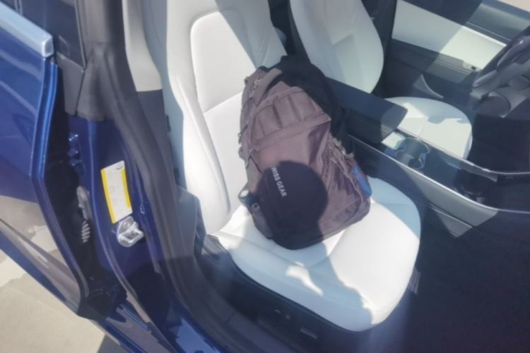 Used Tesla Model 3 2020 Revised Version Standard Range Rear-Wheel Drive – Upgraded Edition