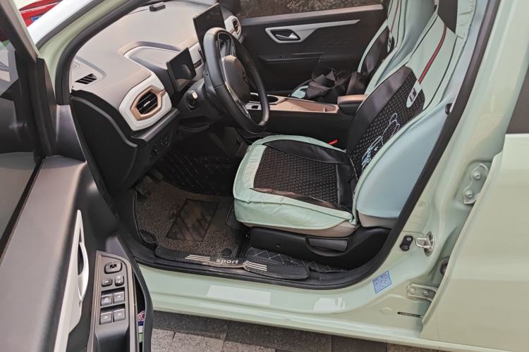 Used SOL E10X 2022 Flower Fairy Style Baby's Breath
