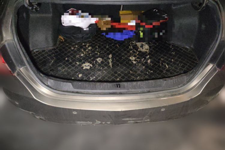 Used Buick GT 2015 15N Automatic Elite Version