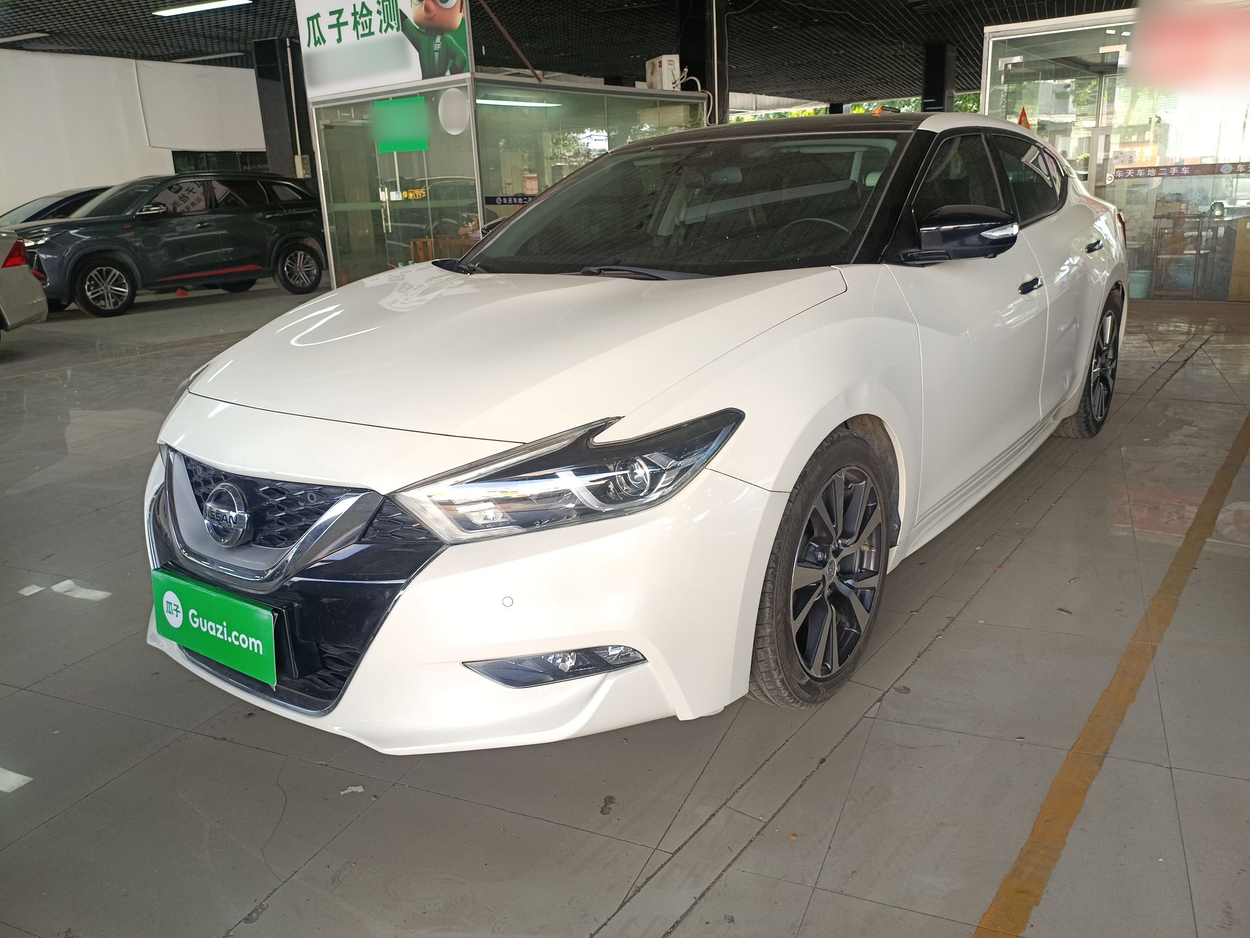 Parte inferior delantera