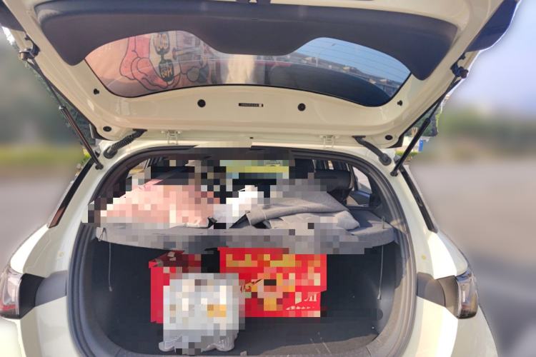 Used BYD Dolphin 2023 420 km Fashion Edition
