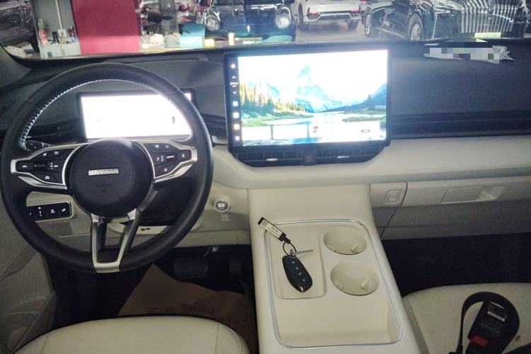 Used Haval H6 2024 2.0T All-Wheel Drive Max
