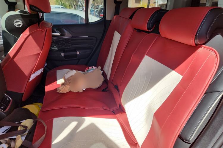 Used Tank 300 2023 City Edition 2.0T—Stylish as Ever Left Rear Seat