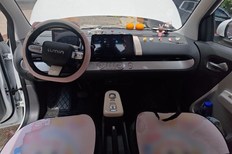 Used Qiyuan Lumin 2023 205km Xiangqin Version