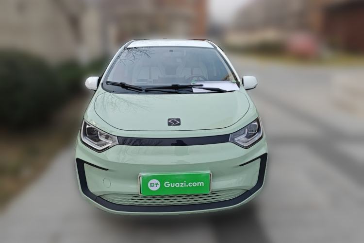 Used SOL E10X 2022 Flower Fairy Style Baby's Breath
