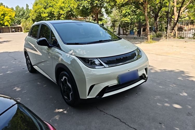 Used BYD Dolphin 2021 405 km Fashion Edition
