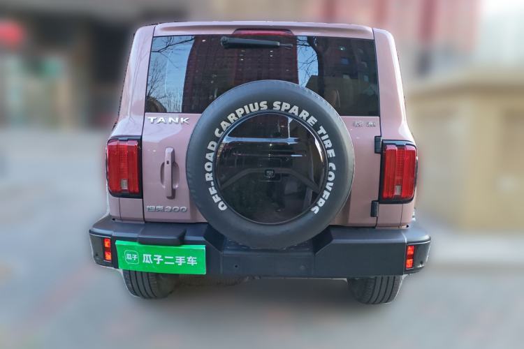 Used Tank 300 2021 City Edition 2.0T—Truly Stylish