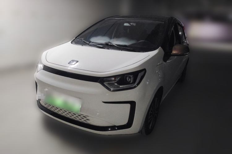 Used SOL E10X 2022 Flower Fairy Design Four-Leaf Clover