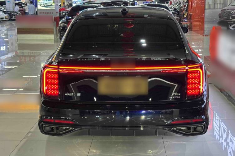 Used Hongqi H9 2024 2.0T Qichang Private Enjoyment Luxury Edition
