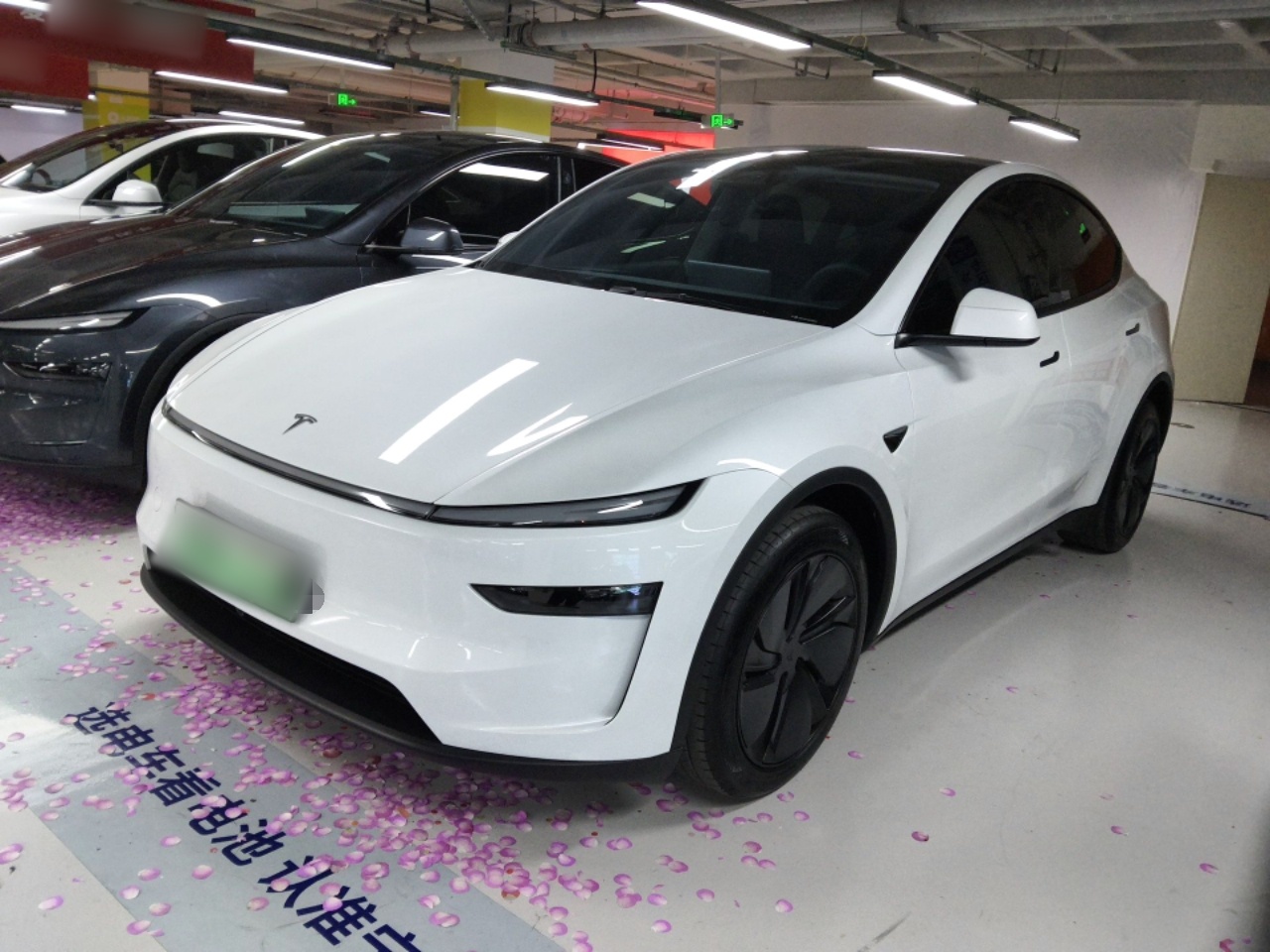 Parte inferior delantera