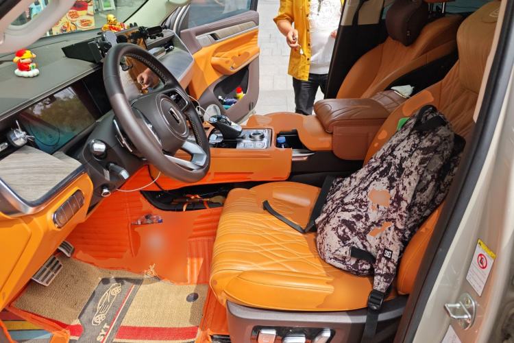 Used Tank 500 2022 3.0T Business Edition "Creation Realm" Design 5-Seater Left Front Seat