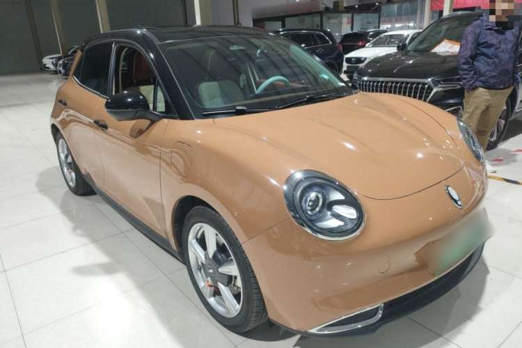 Used ORA Good Cat 2023 401 km Standard Range Prestige Version Lithium Iron Phosphate