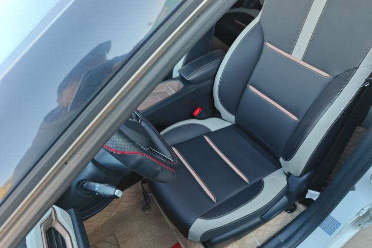 Used SOL E10X 2022 Flower Fairy Design Four-Leaf Clover