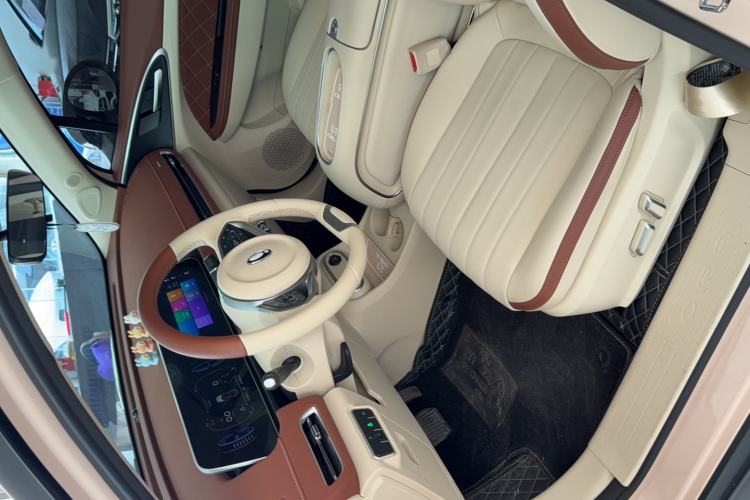 Used ORA Good Cat 2023 401 km Standard Range Luxury Version Lithium Iron Phosphate Interior 1