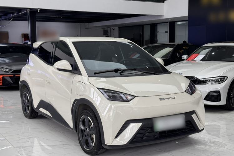 Used BYD Seagull 2023 Flying Edition Exterior 7