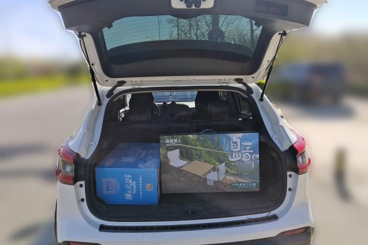 Used Nissan Qashqai 2019 2.0L CVT Luxury Edition
