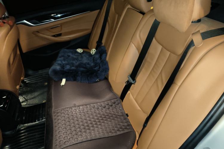 Used BMW 5 Series 2018 528Li Launch Special Edition
