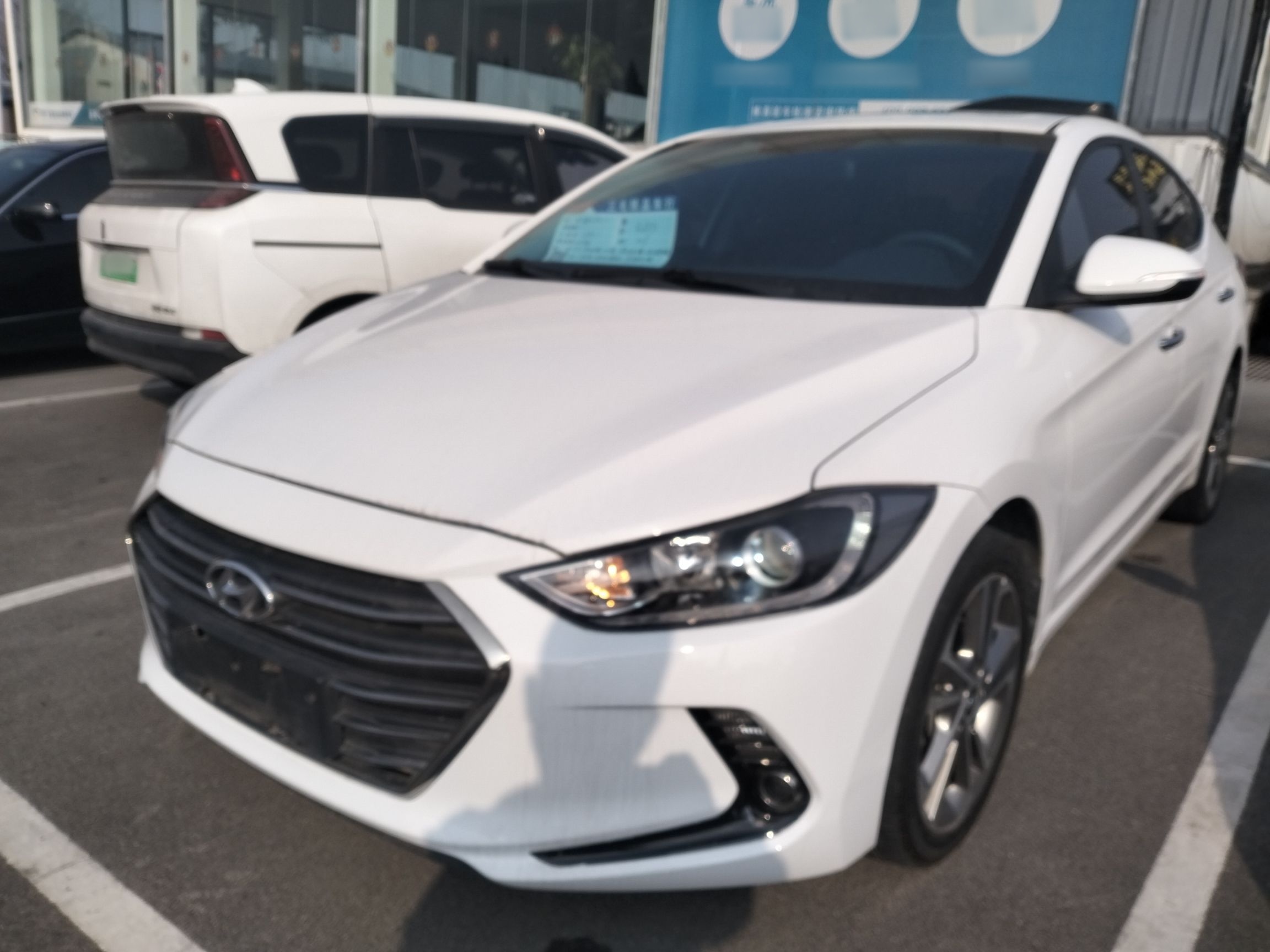 Parte inferior delantera