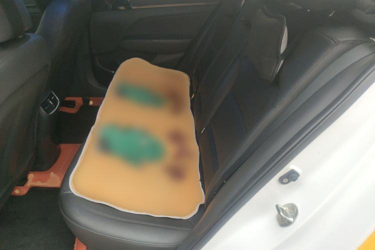 Used Hyundai Elantra (6th Generation / Lingdong) 2019 1.5L CVT ZhiXuan – Elite Version Left Rear Seat