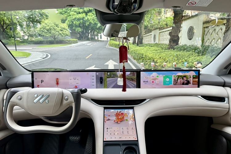 Used IM LS6 2023 Max Standard Edition
