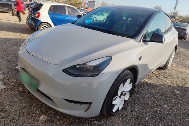Used Tesla Model Y 2021 Standard Range Rear-Wheel Drive Version
