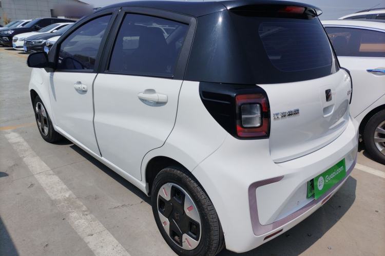 Used SOL E10X 2022 Flower Fairy Design Dandelion