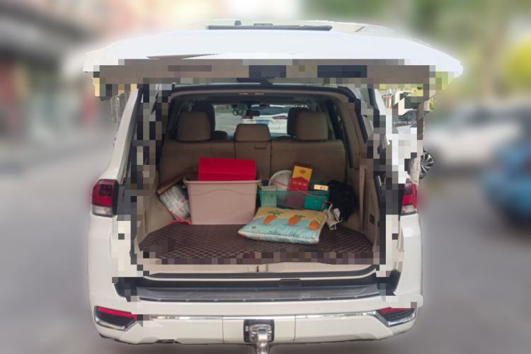 Used Toyota Land Cruiser  Trunk