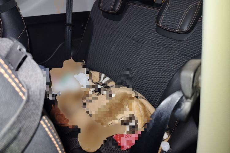 Used Chery QQ Little Ant 2019 4-Seater Smart Edition 35 kWh
