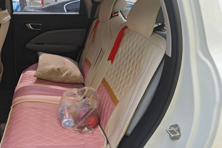 Used Leapmotor T03 2022 Crystal Edition Left Rear Seat