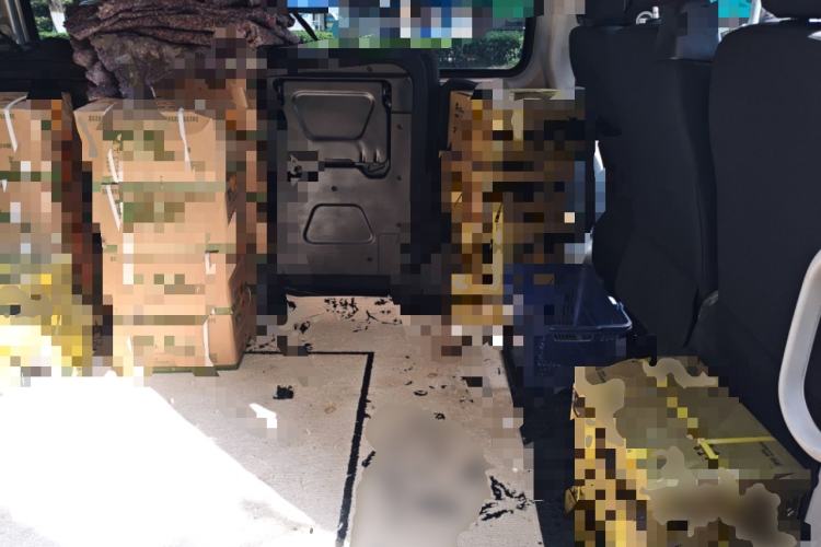 Used SAIC MAXUS Xintu V80 2019 2.5T Classic Model AMT Aoyuntong Long Wheelbase Mid-Roof 7-Seater