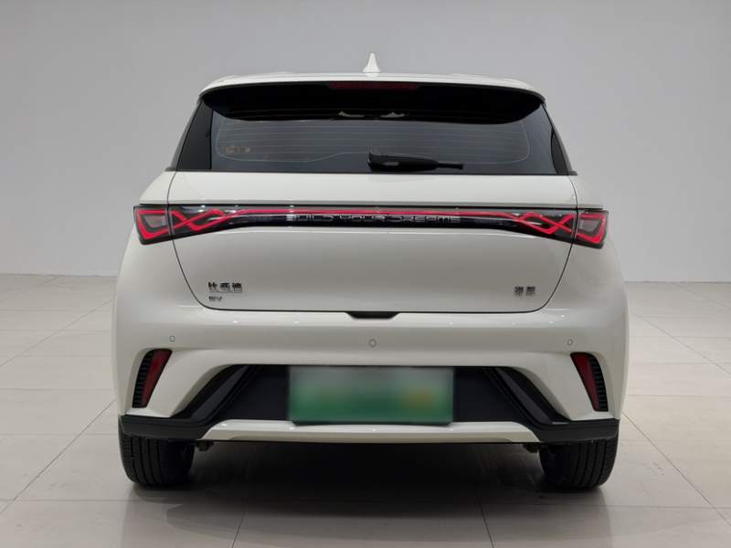 Used BYD Dolphin 2025 420km Free Edition — 29