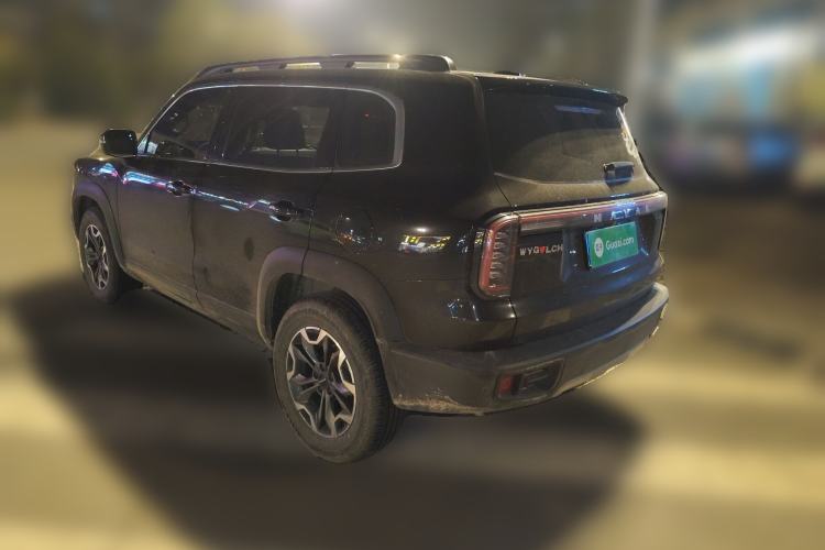 Used Haval DARGO 2024 2.0T DCT Chinese Rural Dog Edition
