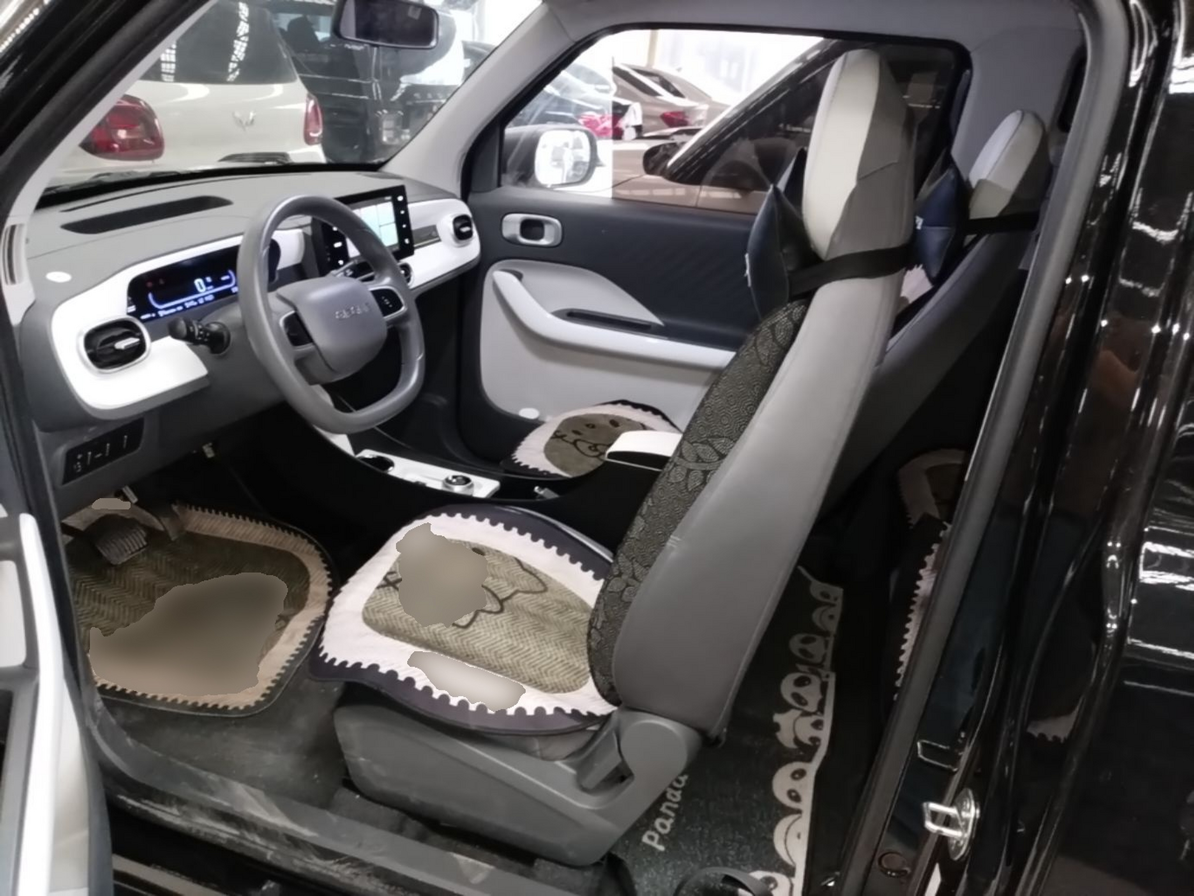 Interior delantero
