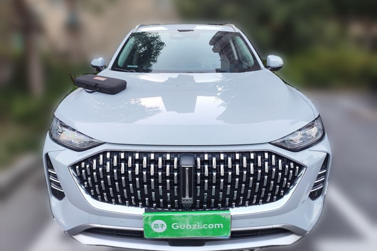 Used Wey Mocha 2021 2.0T Four-Wheel Drive Premium Edition