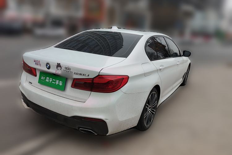 Used BMW 5 Series 2019 530Li xDrive M Sport Package Rear Right 45 Deg