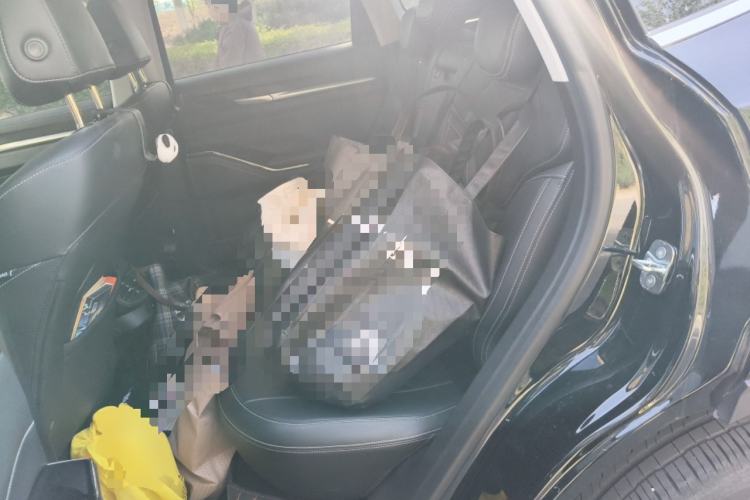 Used Haval H6 2022 3rd Generation 1.5T Automatic Two-Wheel Drive Max Left Rear Seat