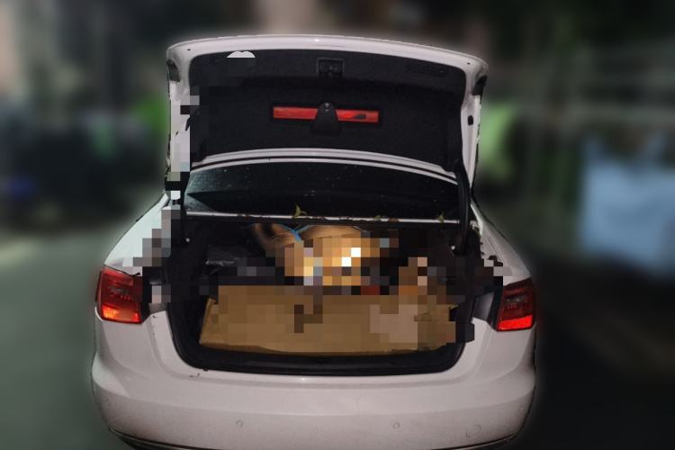 Used Audi A6L 2014 TFSI Standard Model Trunk