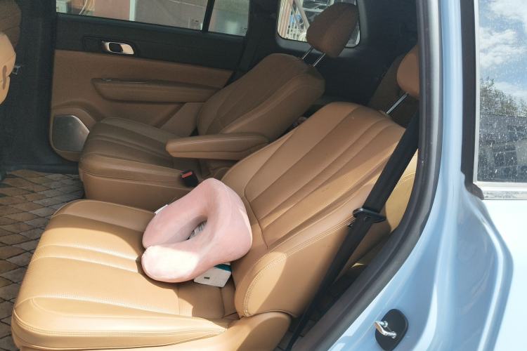 Used Li Auto ONE 2020 Extended-Range 6-Seater Version Left Rear Seat