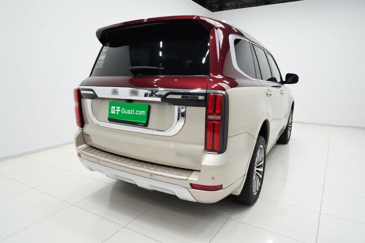 Used Tank 500 2022 3.0T High-End Custom Edition 5 Seats Exterior 5