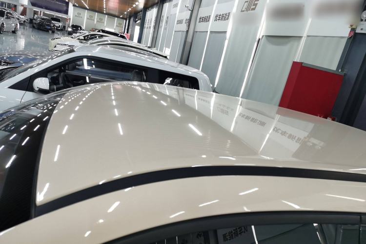 Used ORA Good Cat 2023 401 km Standard Range Luxury Version Lithium Iron Phosphate
