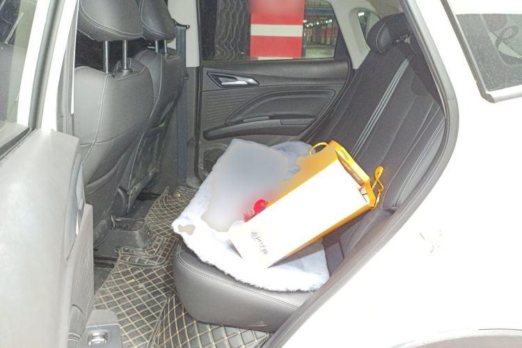 Used NETA V 2021 Long-Range Entertainment Edition Upgrade Model Left Rear Seat