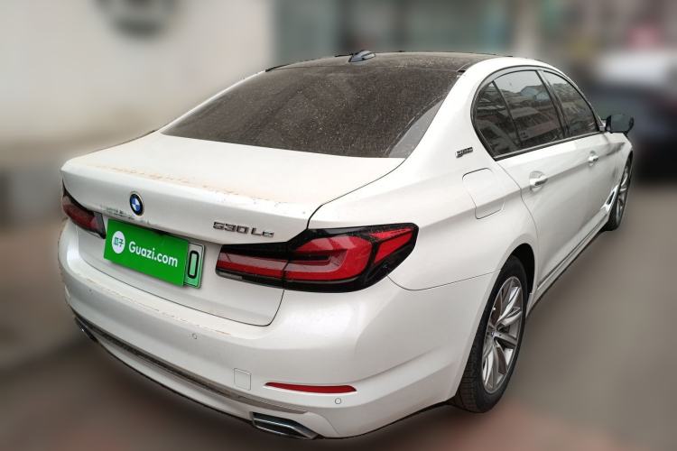 Used BMW 5 Series New Energy 2019 530Le Luxury Package
