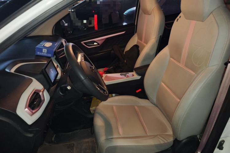 Used SOL E10X 2022 Flower Fairy Design Four-Leaf Clover Left Front Seat