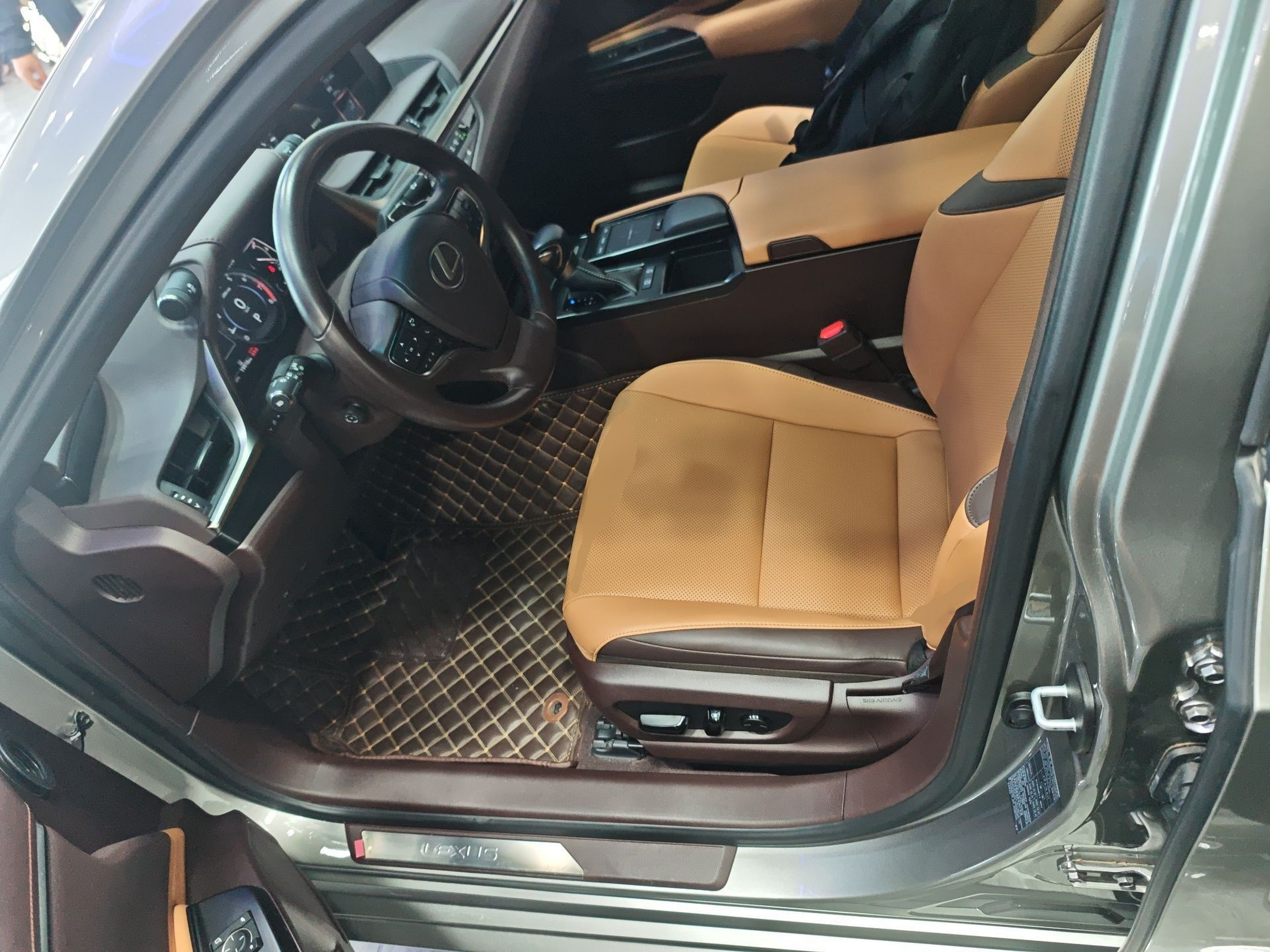 Interior delantero