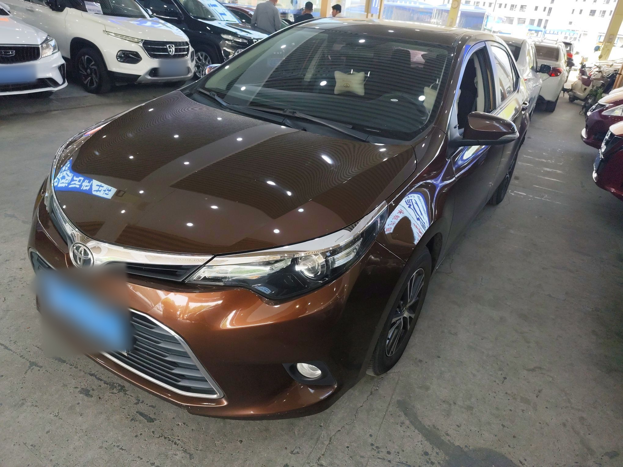 تحت مقدمة السيارة