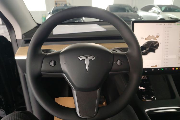 Used Tesla Model Y 2021 Standard Range Rear-Wheel Drive Version
