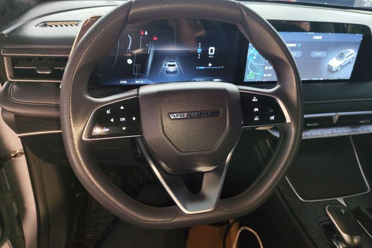 Used Venucia V 2021 260T Idol Edition Steering Wheel