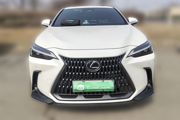 Used Lexus NX New Energy 2022 400h+ Comfort Edition Front