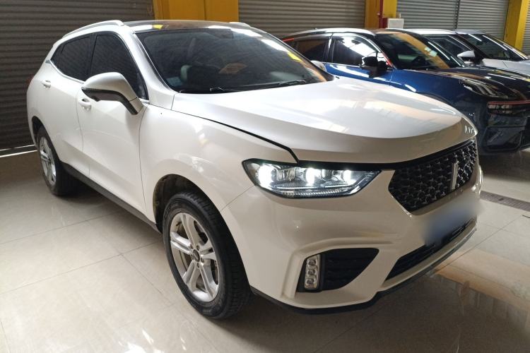 Used Wey VV5 2020 1.5T Two-Wheel Drive Color Pioneer
